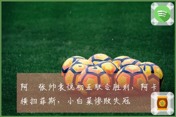 阿昺张帅袁悦初五联合胜利，阿卡横扫菲斯，小白菜惨败失冠